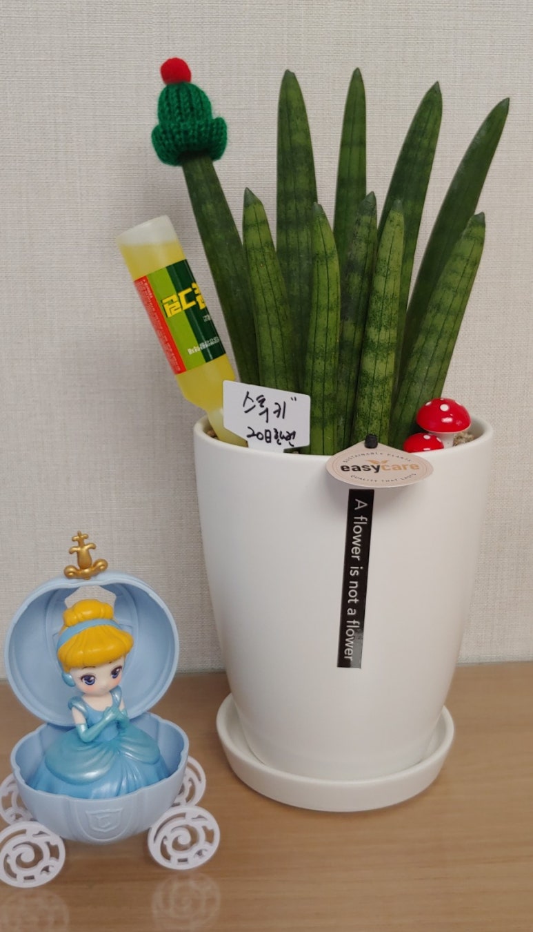 하나로공판장마트 이미지