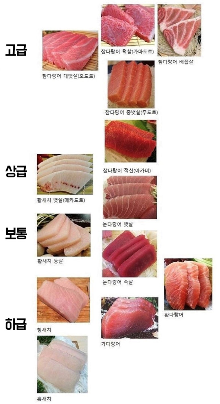 참치싸다구 이미지