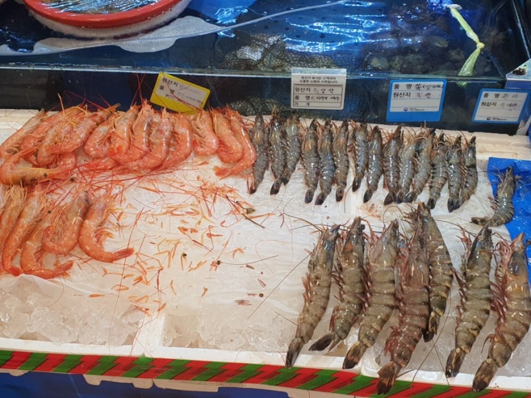 강경상회 이미지