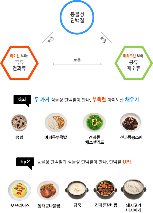 광주헬스오짐 이미지