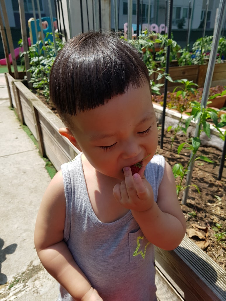 오남썸머힐어린이집 이미지