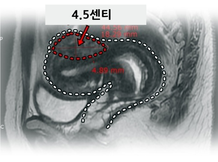 경희본한의원 이미지