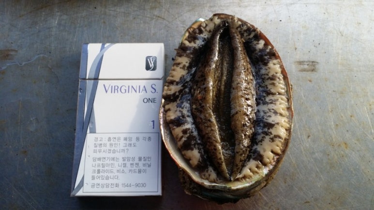 어부와바다와시 이미지