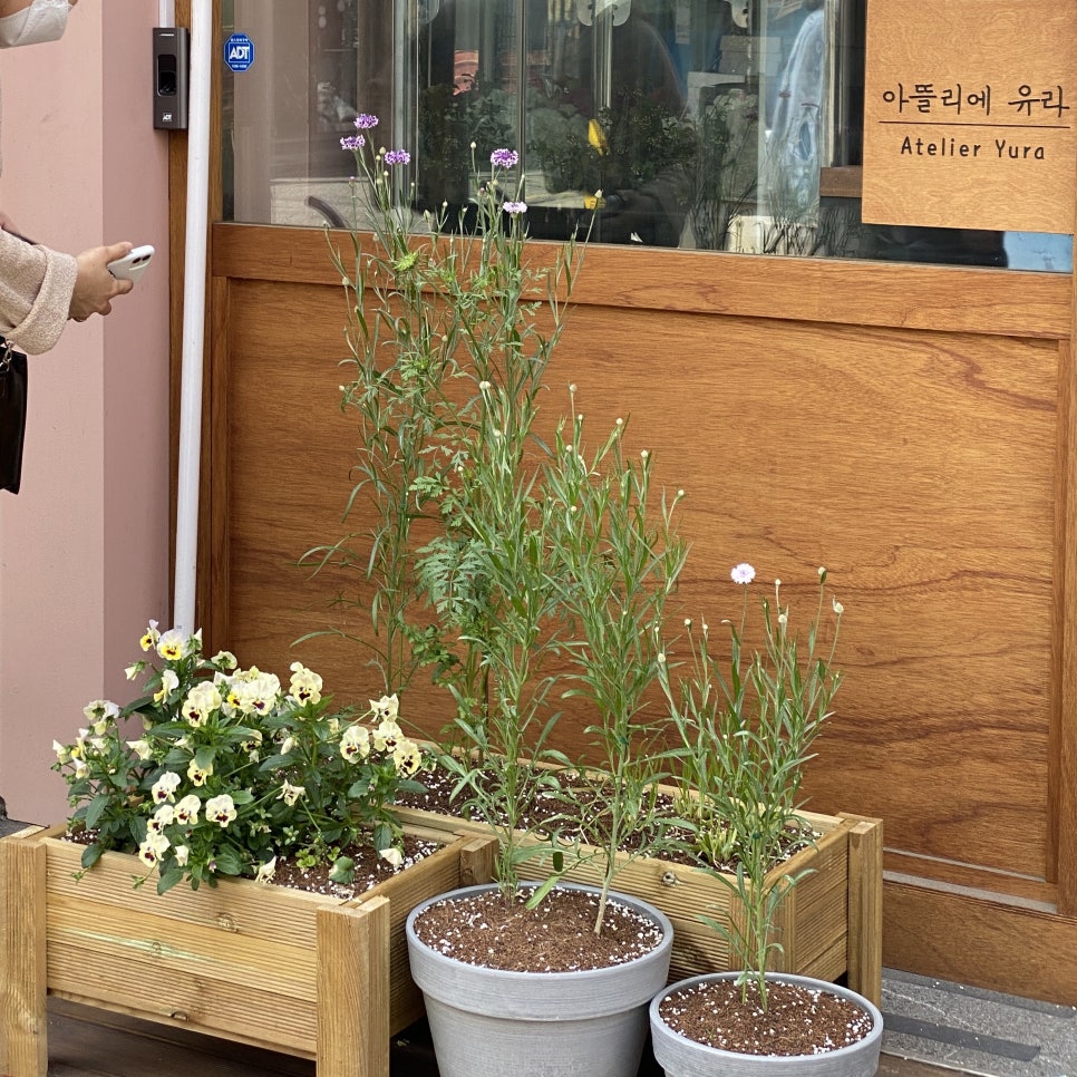 꽃호수아뜰리에 이미지