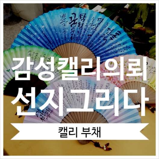 선지그리다 이미지