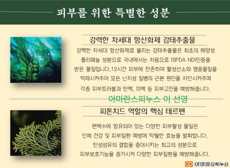 진아화장품 이미지