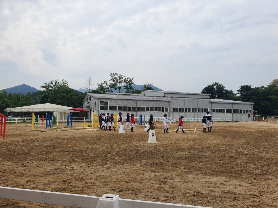 멜버른승마 이미지