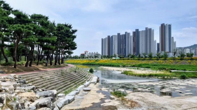 청춘짜장 이미지