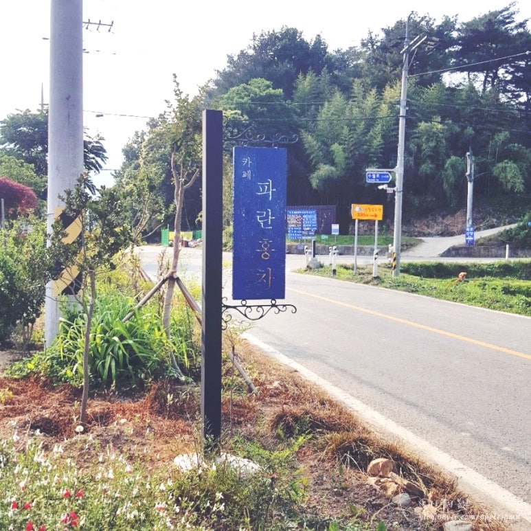 파란홍차 이미지