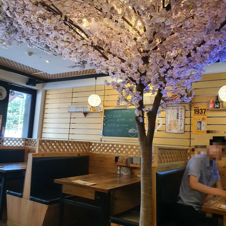수시로스시 이미지