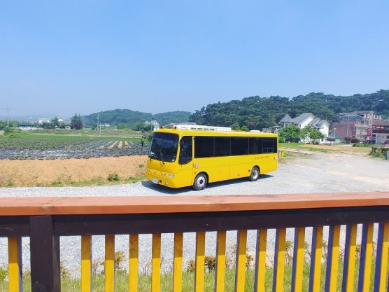 모항초등학교 이미지