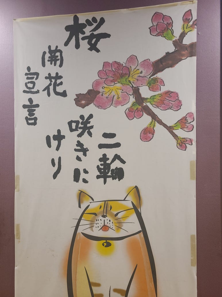 본참치우아점 이미지