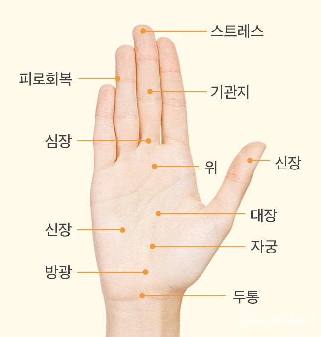 살롱 드 네일(SALON DE NAIL) 이미지