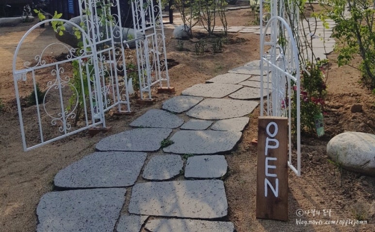 파란홍차 이미지