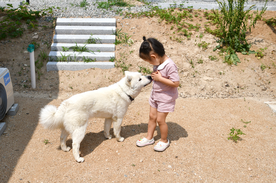 선라이즈글램핑 이미지
