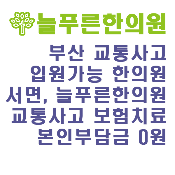 늘푸른한의원 이미지
