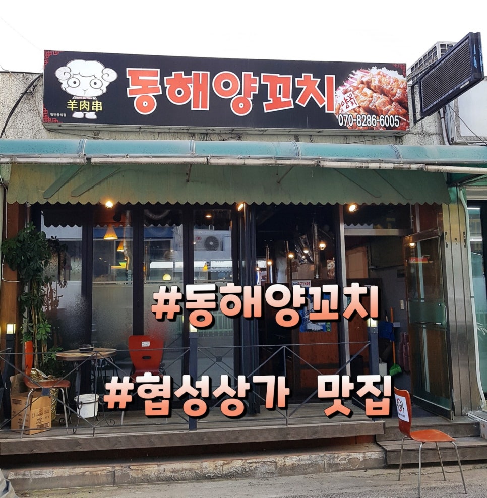 동해양꼬치 이미지
