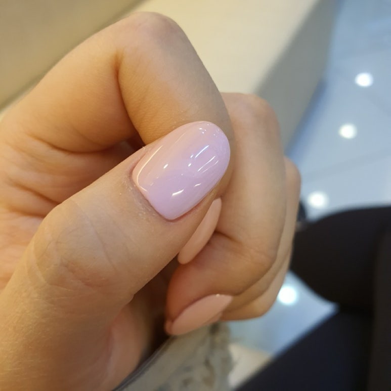 반스네일 이미지