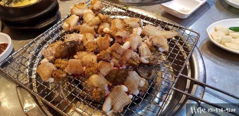 광릉왕꼼장어 이미지