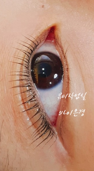 바이은경 이미지