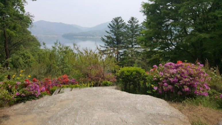 팔당산삼수목원 이미지