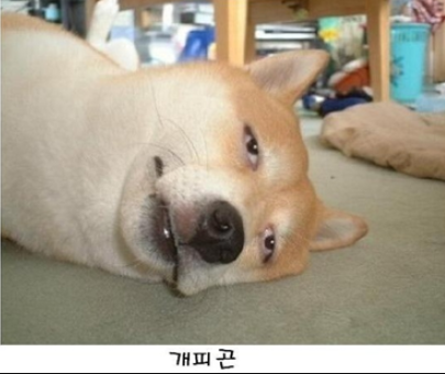장군닭발 이미지