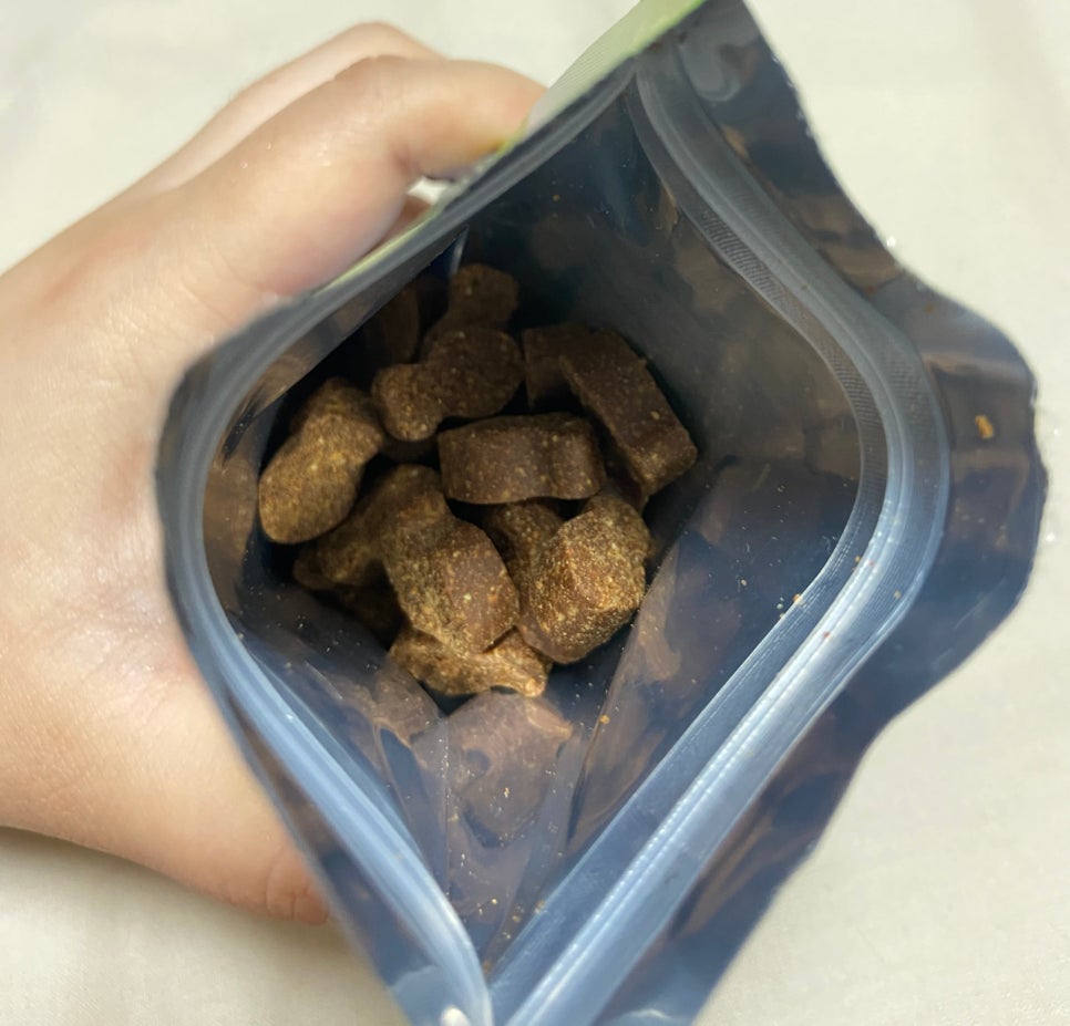 카밍캣 고양이미용 이미지