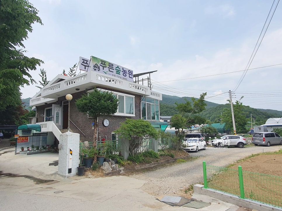 푸른숲농원 이미지