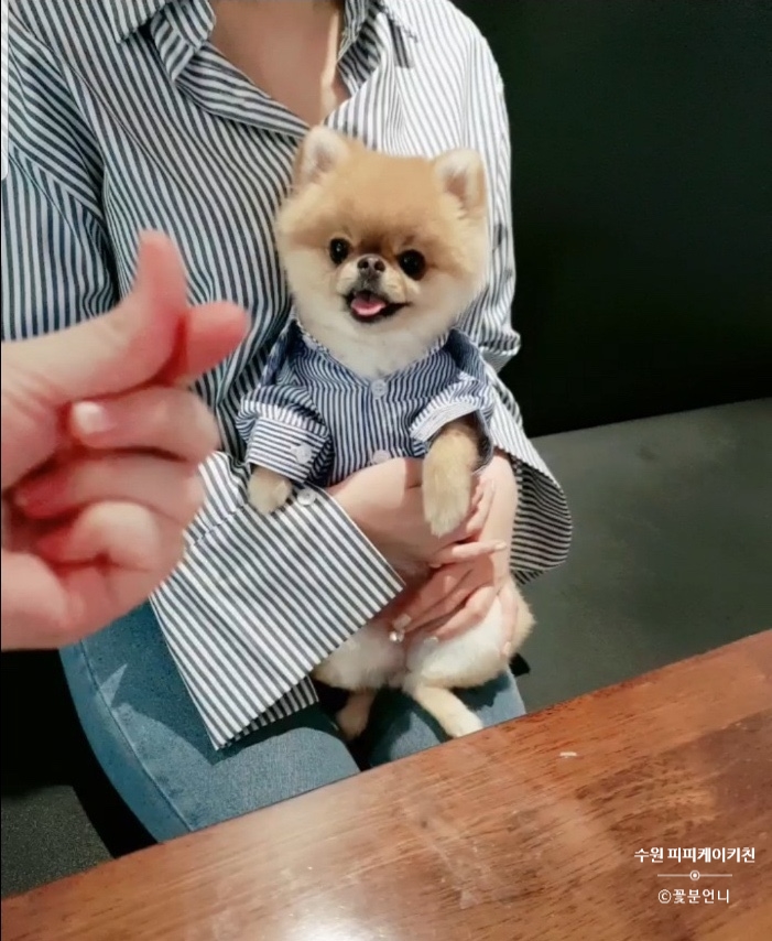 피피케이키친 이미지