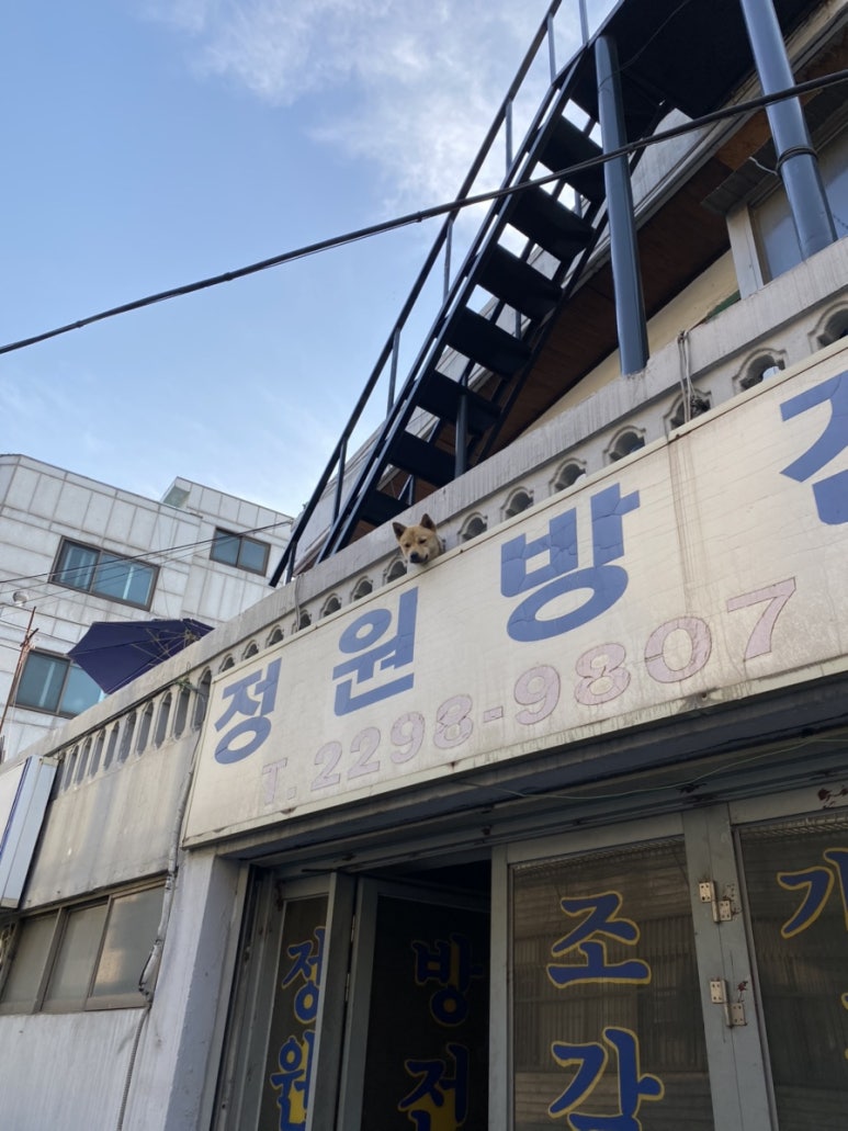 희락공방 이미지