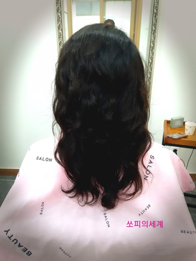쏘피의 세계 이미지