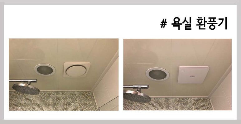 라이프라이팅 이미지