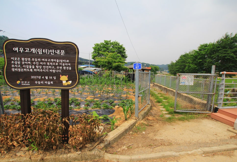 여우들의쉼터 이미지