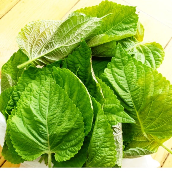 깻잎농원 이미지