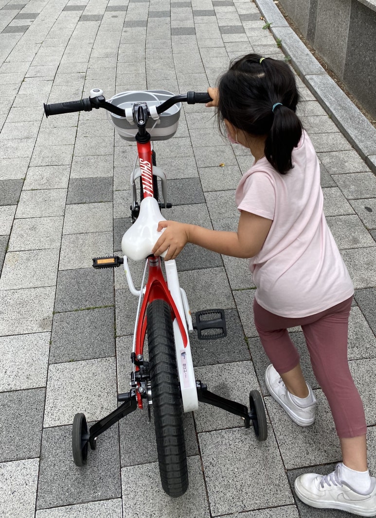 지유자전거 이미지