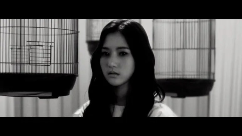 네이쳐 뮤직(Nature music) 이미지