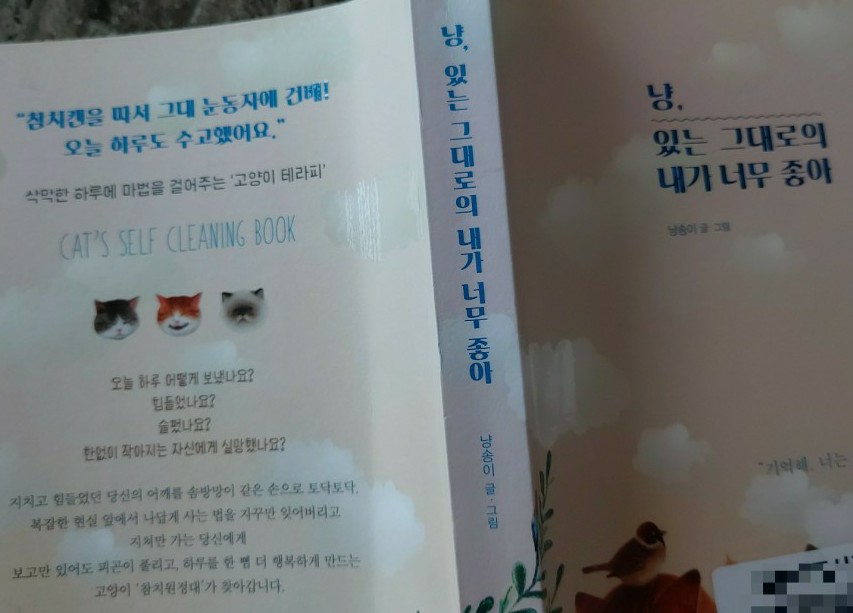냥테라피 이미지
