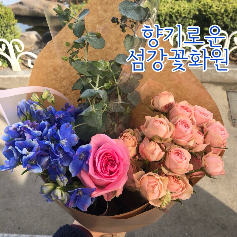 섬강화원 이미지