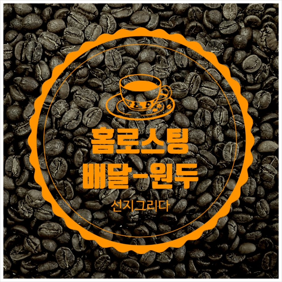 선지그리다 이미지