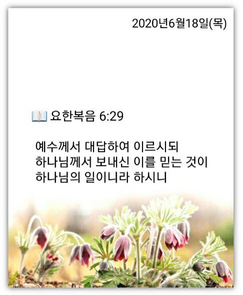 소소한일상 이미지