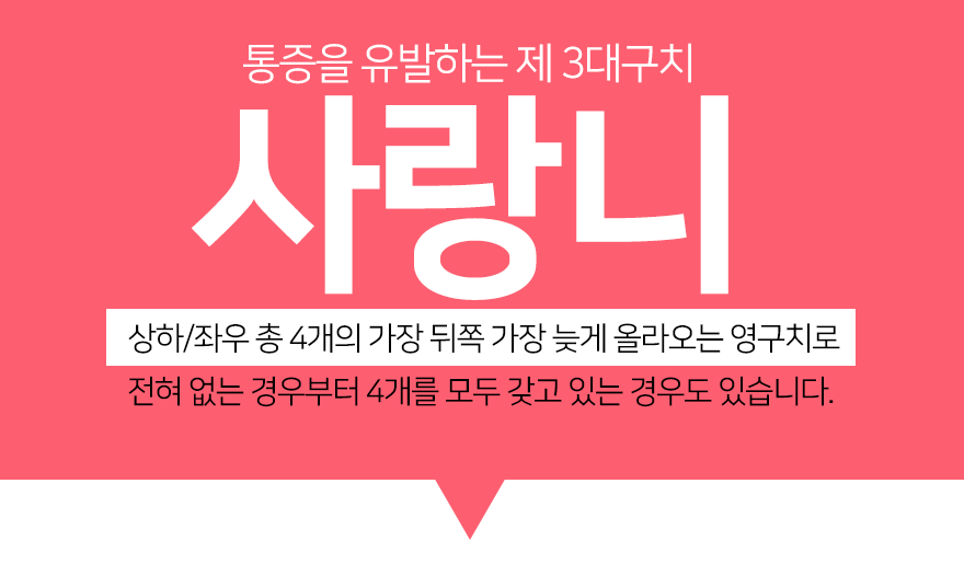 유앤성부부치과의원 이미지