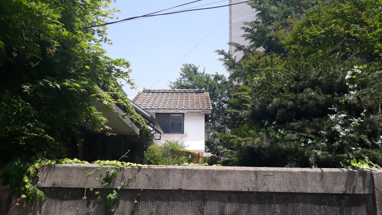 신한장 이미지