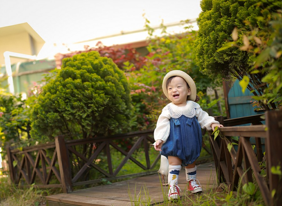 올리브트리스튜디오 이미지