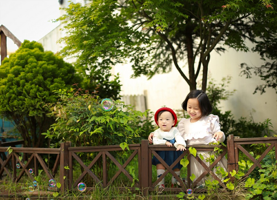올리브트리스튜디오 이미지