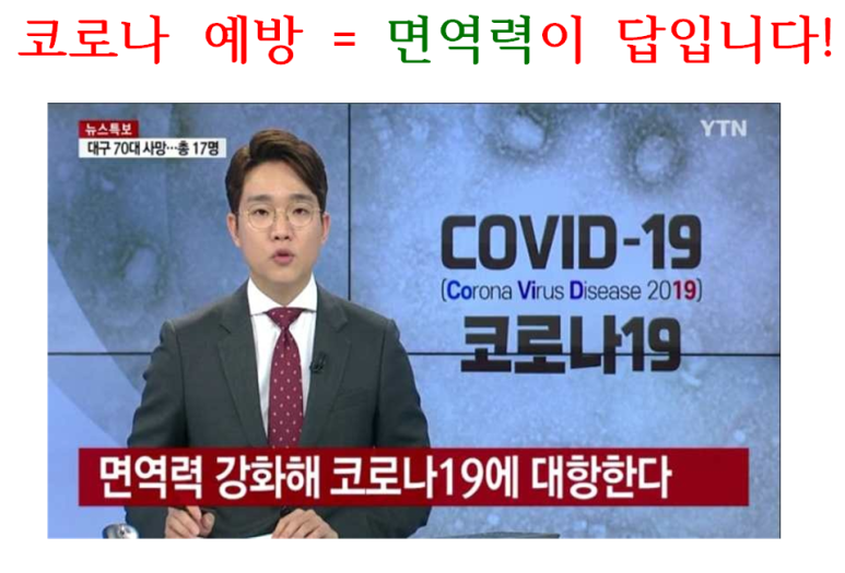 다온점핑다이어트 이미지