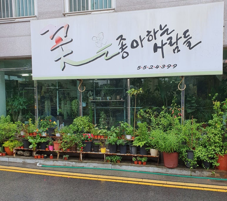 꽃을좋아하는사람들 이미지