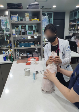 홍지희내과 이미지