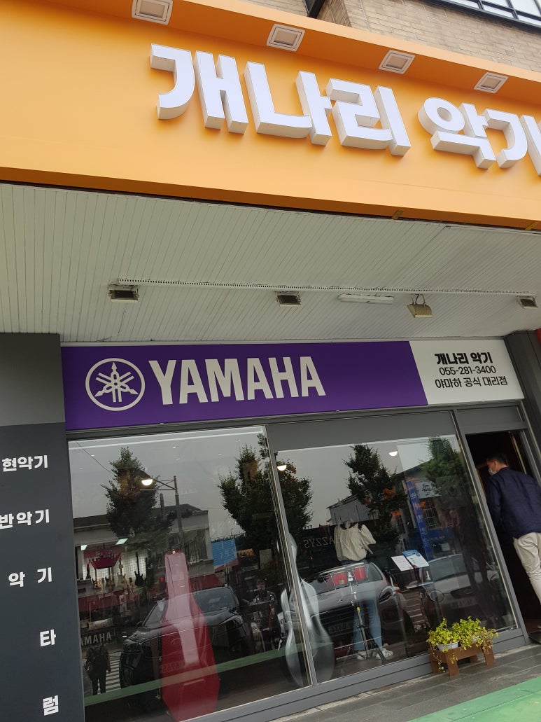 개나리악기점 이미지