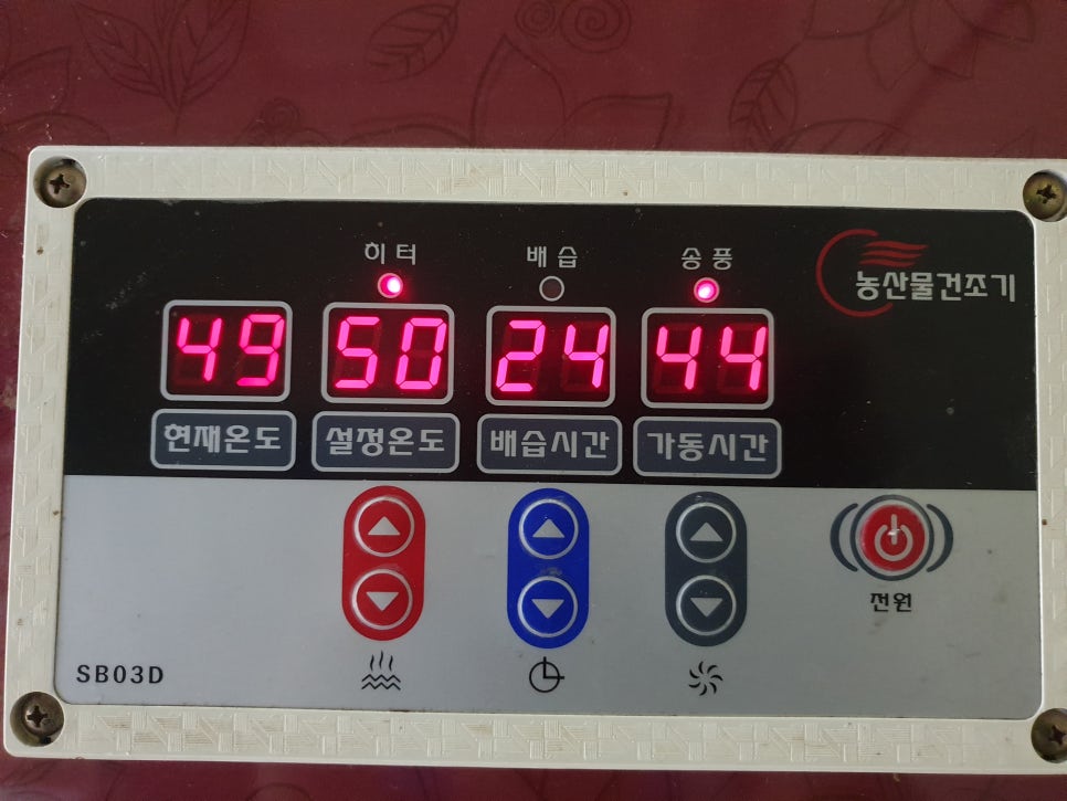 장수 참굼벵이 이미지