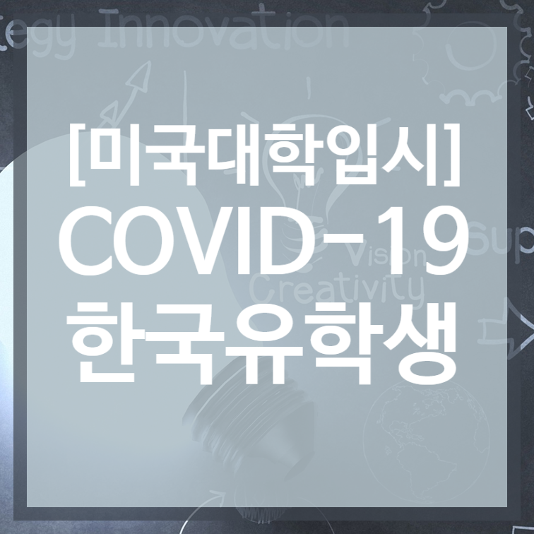에이펙스컨설팅 이미지